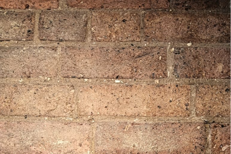 cropped_1693715571.jpg