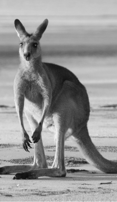 cropped_1696763711.jpg