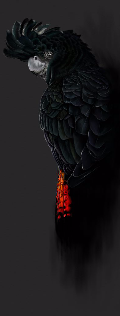 cropped_1697069312.jpg