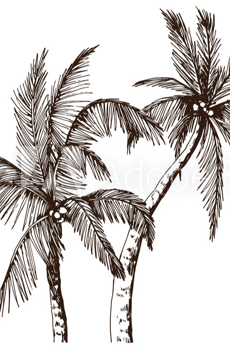 cropped_1709611047.jpg
