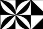 cropped_1709808631.jpg