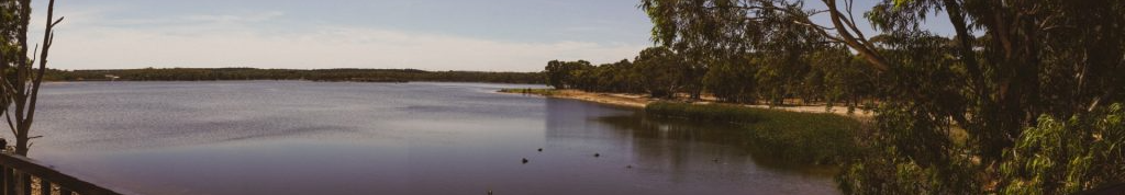 cropped_1711072233.jpg