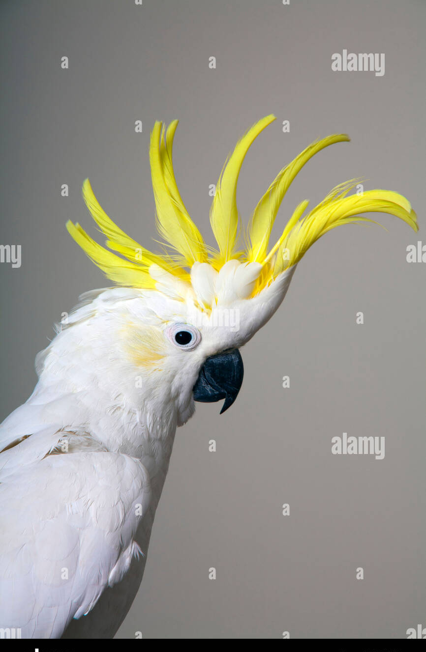 cropped_1711790099.jpg