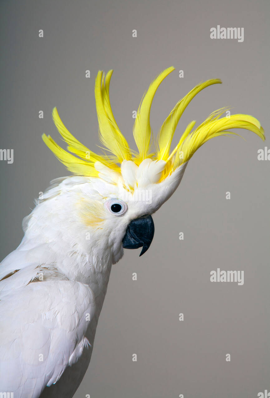 cropped_1711938475.jpg