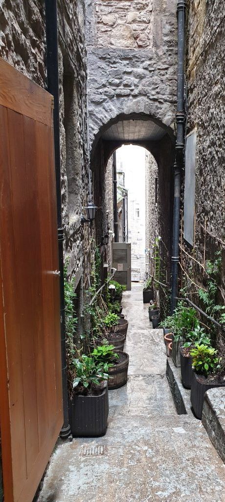 cropped_1718441112.jpg