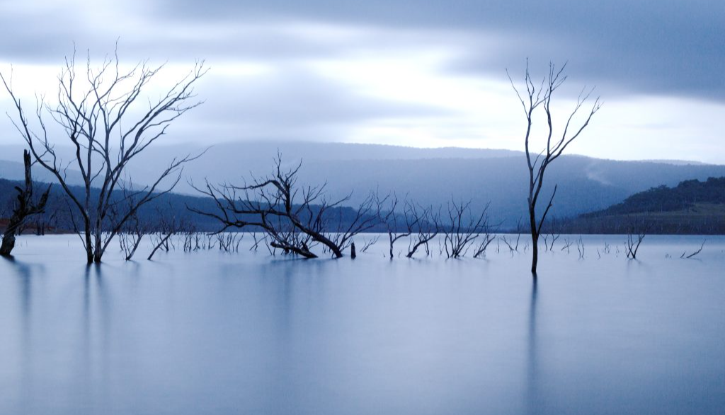 cropped_1718777237.jpg