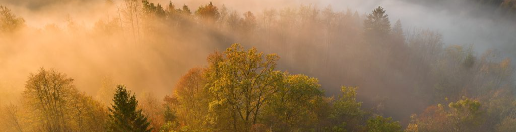 cropped_1723602519.jpg
