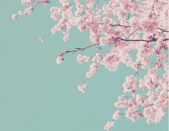 cropped_1725922621.jpg