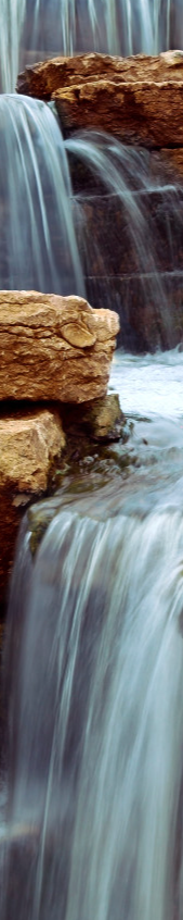 cropped_1739691634.jpg