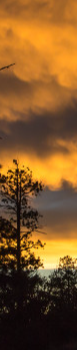 cropped_1739692329.jpg