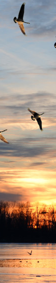 cropped_1739704752.jpg