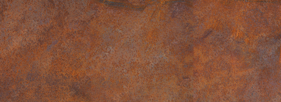 cropped_1744779798.jpg