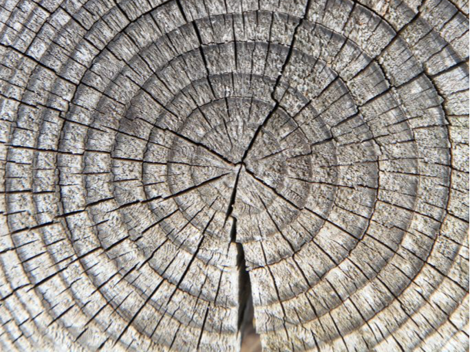 cropped_1745488996.jpg